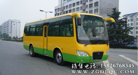 大力牌新能源城市客車